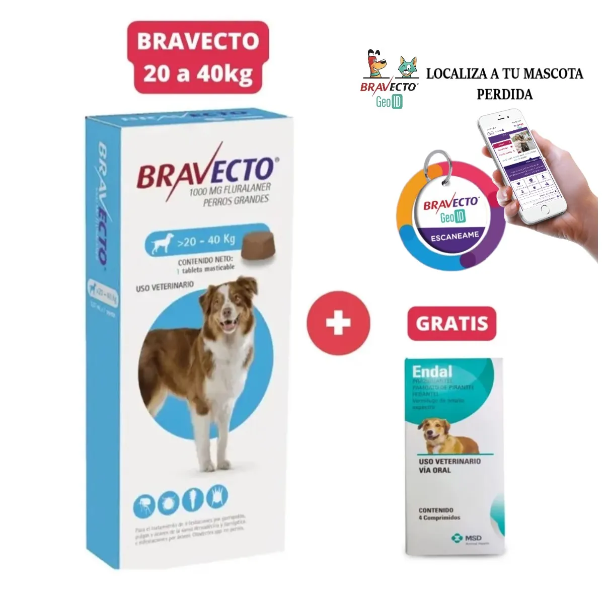 BRAVECTO - Antipulgas Bravecto para perros de 20 - 40 kg + Geolocalizador para Mascota