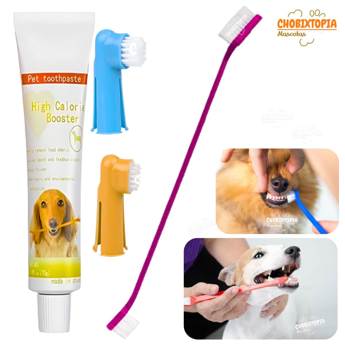 GENERICO - PACK CEPILLO DENTAL MASCOTA PERRO-GATO + PASTA PACK 4 FUCSIA