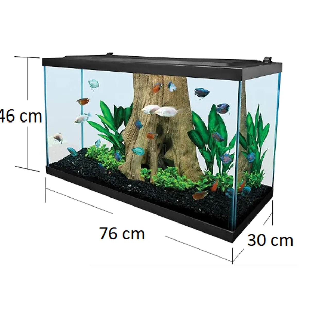 DABUILDINGSER ACEROS & MUEBLES - Acuario de Vidrio Poseidom Reforzado
