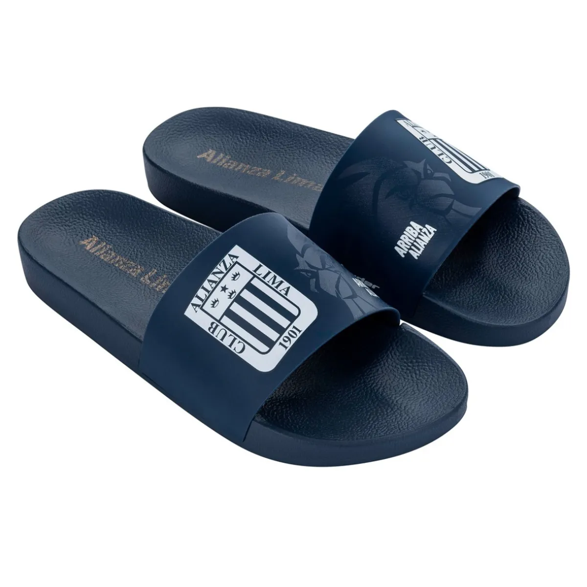 RIDER - Sandalias Hombre Playera Alianza Lima Gallo Rider Azul