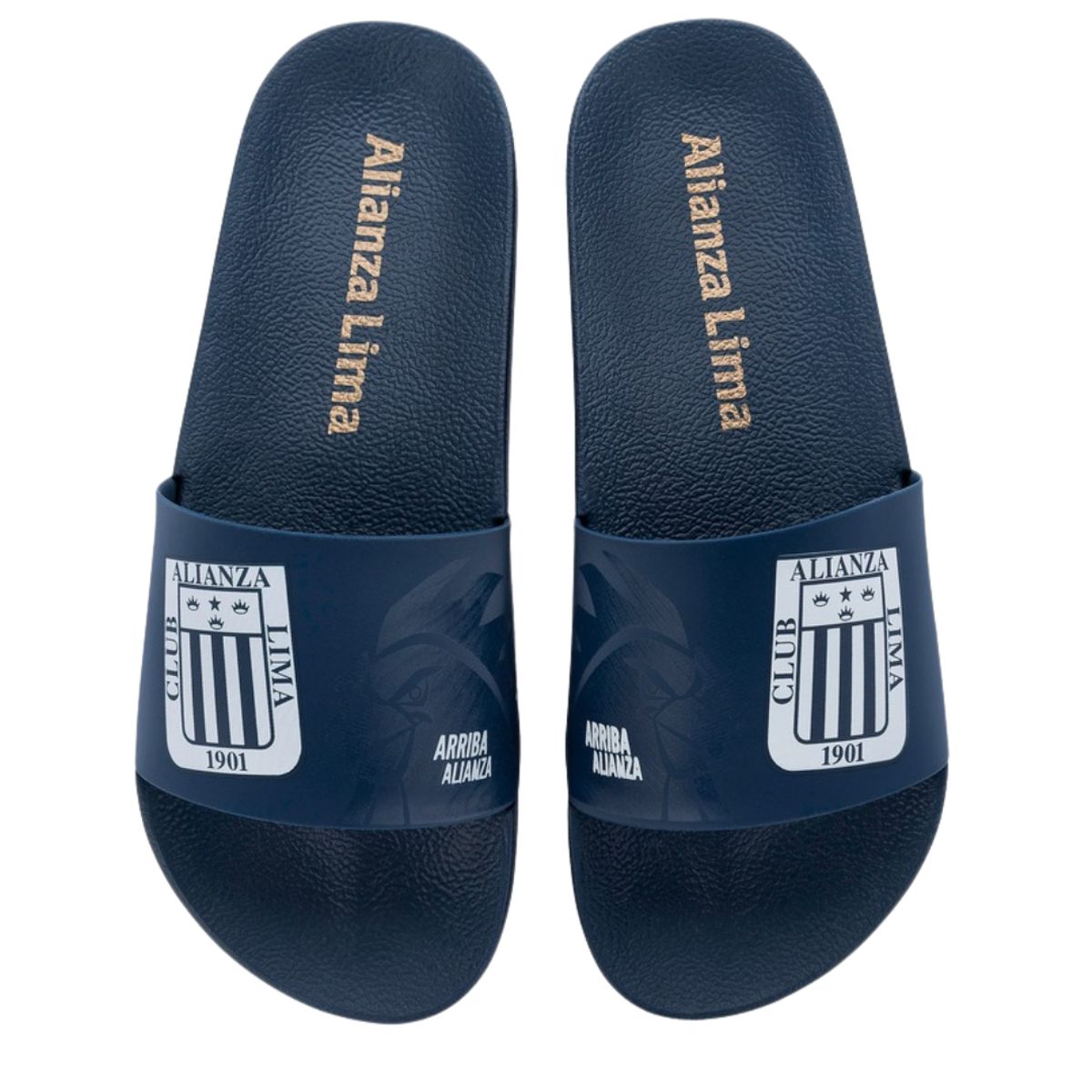 RIDER - Sandalias Hombre Playera Alianza Lima Gallo Rider Azul