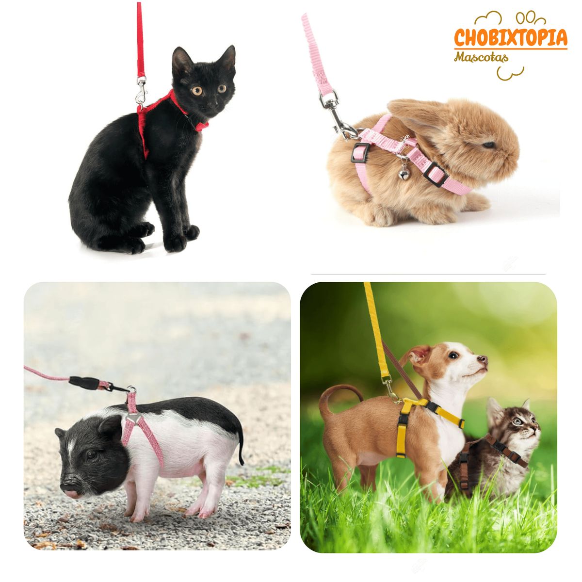 GENERICO - ARNES PECHERA SOFT MASCOTA-GATITO PERRITO CELESTE/FUCSIA TALLA 0