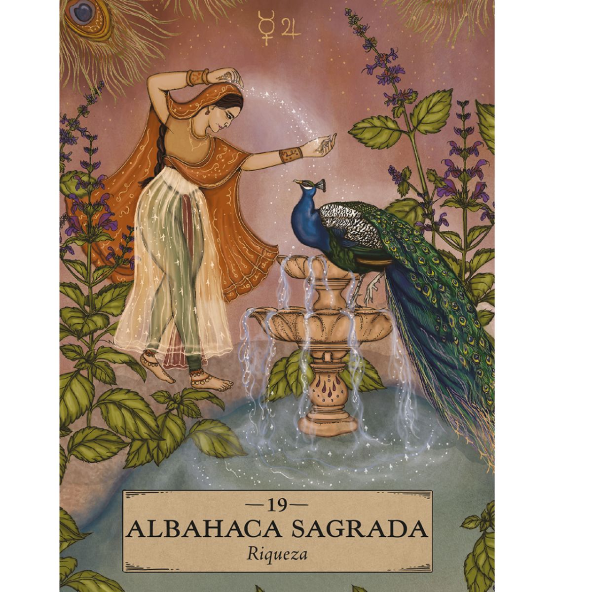 GENERICO - ASTROLOGÍA HERBAL. ORÁCULO 55 cartas y libro guía