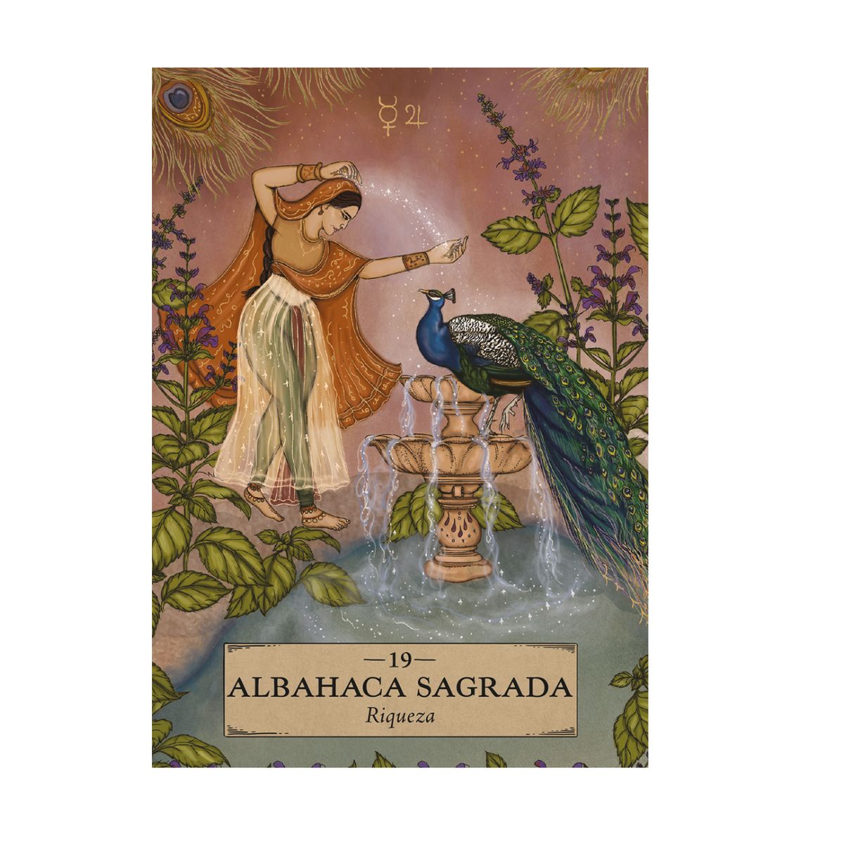 GENERICO - ASTROLOGÍA HERBAL. ORÁCULO 55 cartas y libro guía