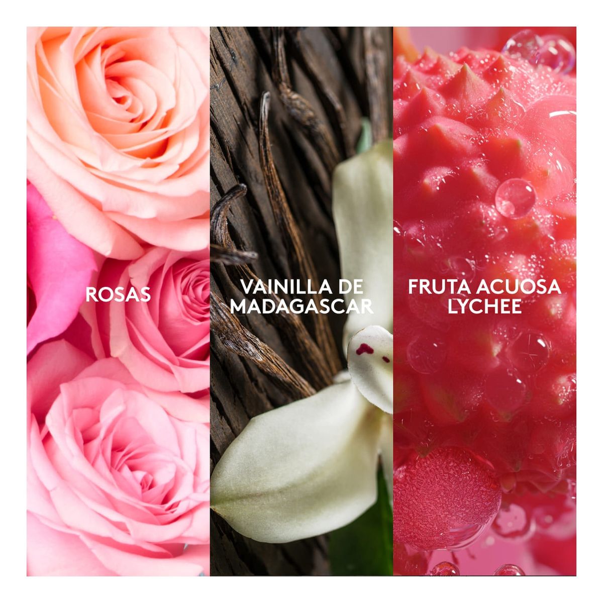 ESIKA - Perfume Expression celebrate ésika Eau de parfum spray 50 ml