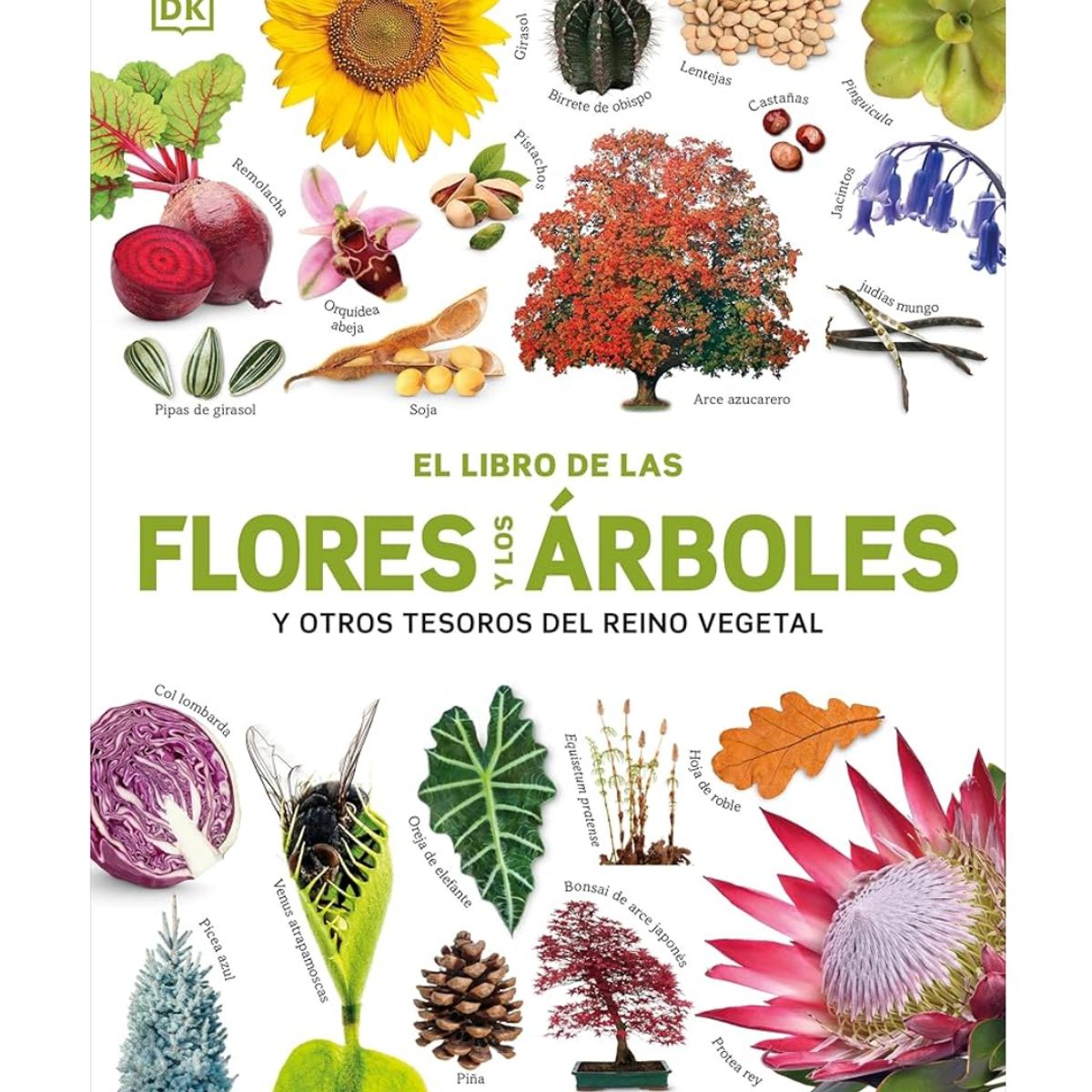 GENERICO - El libro de las flores y los árboles - Libros infantiles