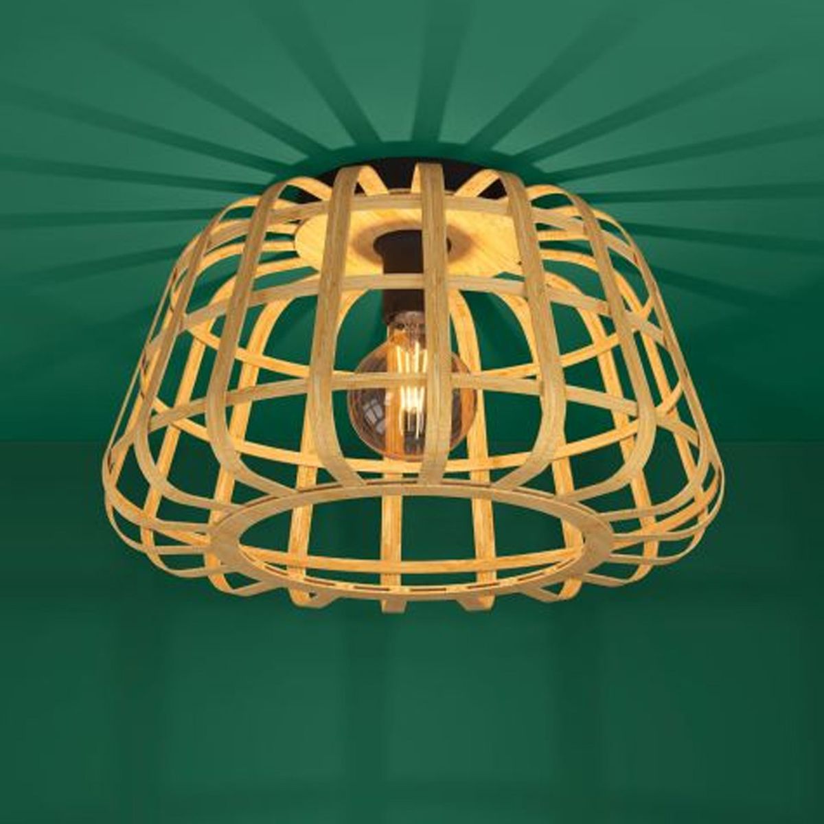 EGLO - LAMP DE TECHO MONTEZUELO 1X40W H265 D450