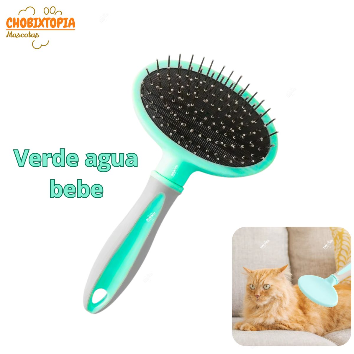 GENERICO - CEPILLO P-MASCOTA PERRO Y GATOS OVAL - SIN BOTON VERDE BEBE