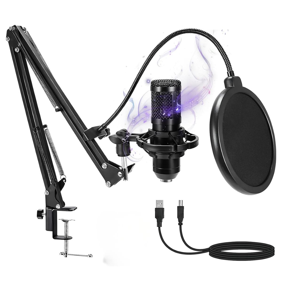 SEISA - Microfono Condensador profesional Grabacion Estudio con brazo Ajustable Antipop Streaming Live