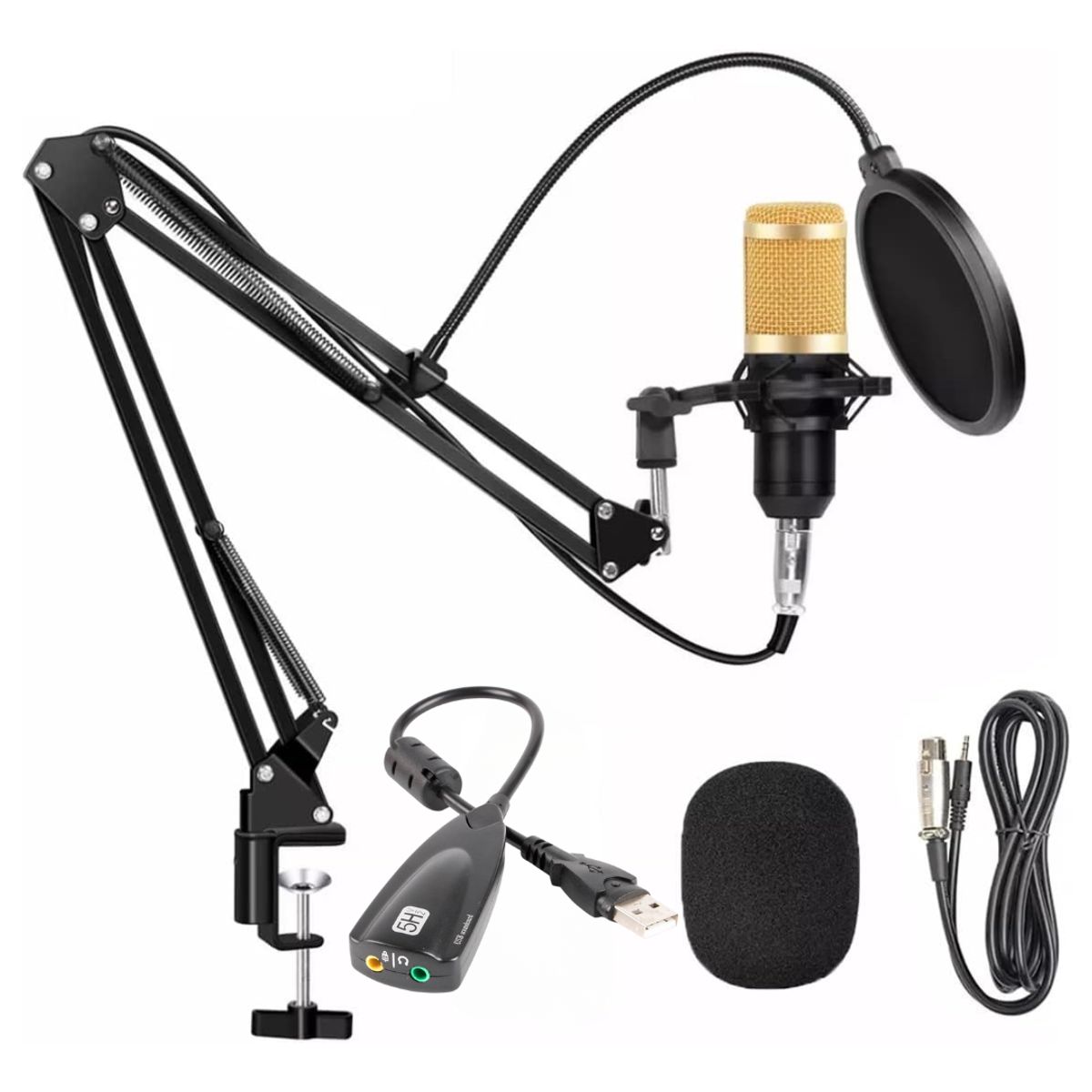 SEISA - Micrófono Condensador profesional Grabacion Estudio USB con brazo Ajustable Antipop