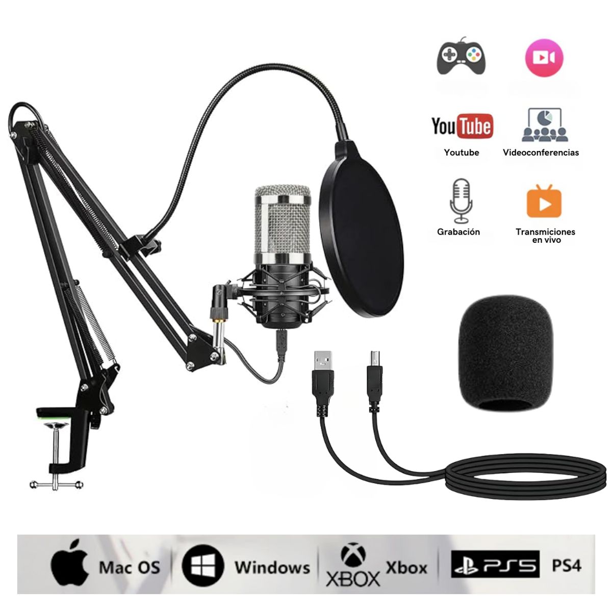 SEISA - Micrófono Condensador profesional Grabacion Estudio USB con brazo Ajustable Antipop