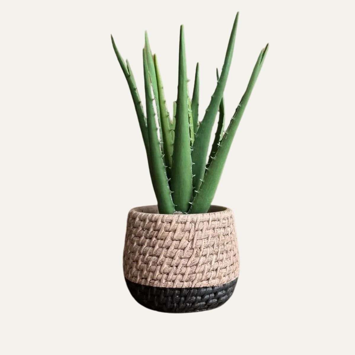 LAR DANIELSEN - Macetero bicolor con textura trenzada - 13 cm alto - Ébano