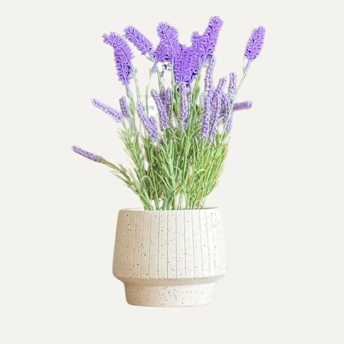 LAR DANIELSEN - Macetero de cerámica de forma acampanada 12.5 cm alto - Copenhague