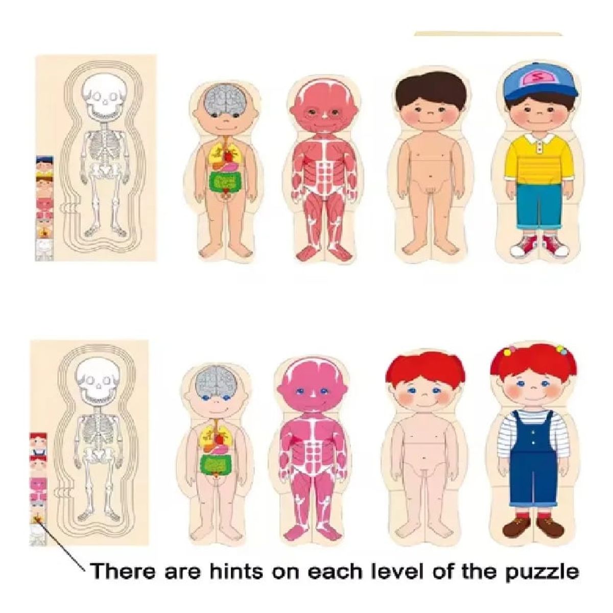 GENERICO - Rompecabezas De Cuerpo Humano