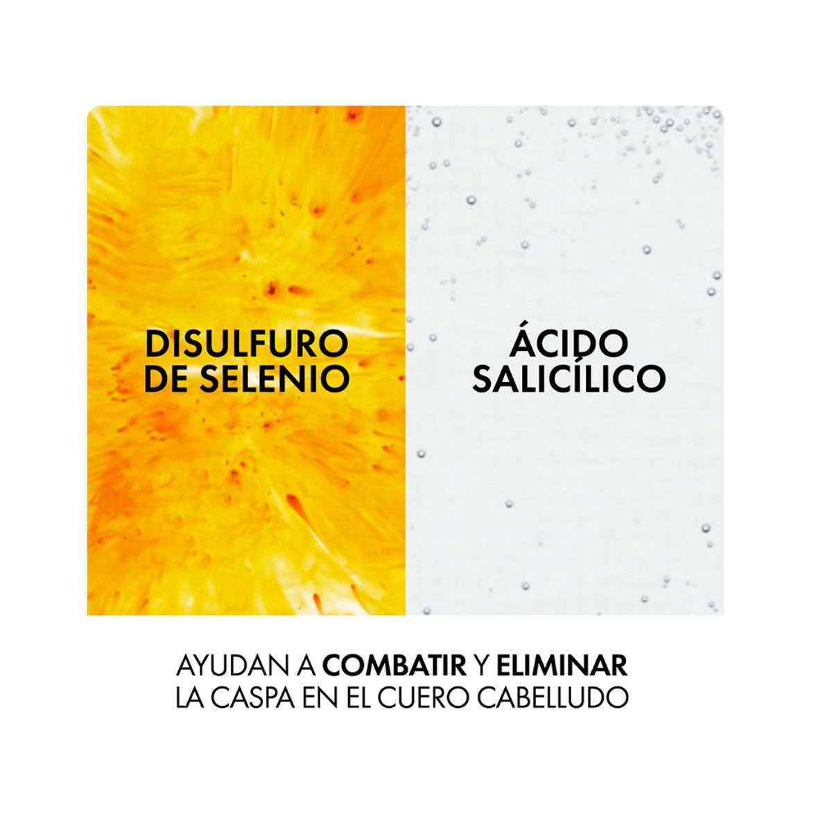 PREMIUM - Dercos Shampoo Capilar Anticaspa 200ML Cabello Seco Original