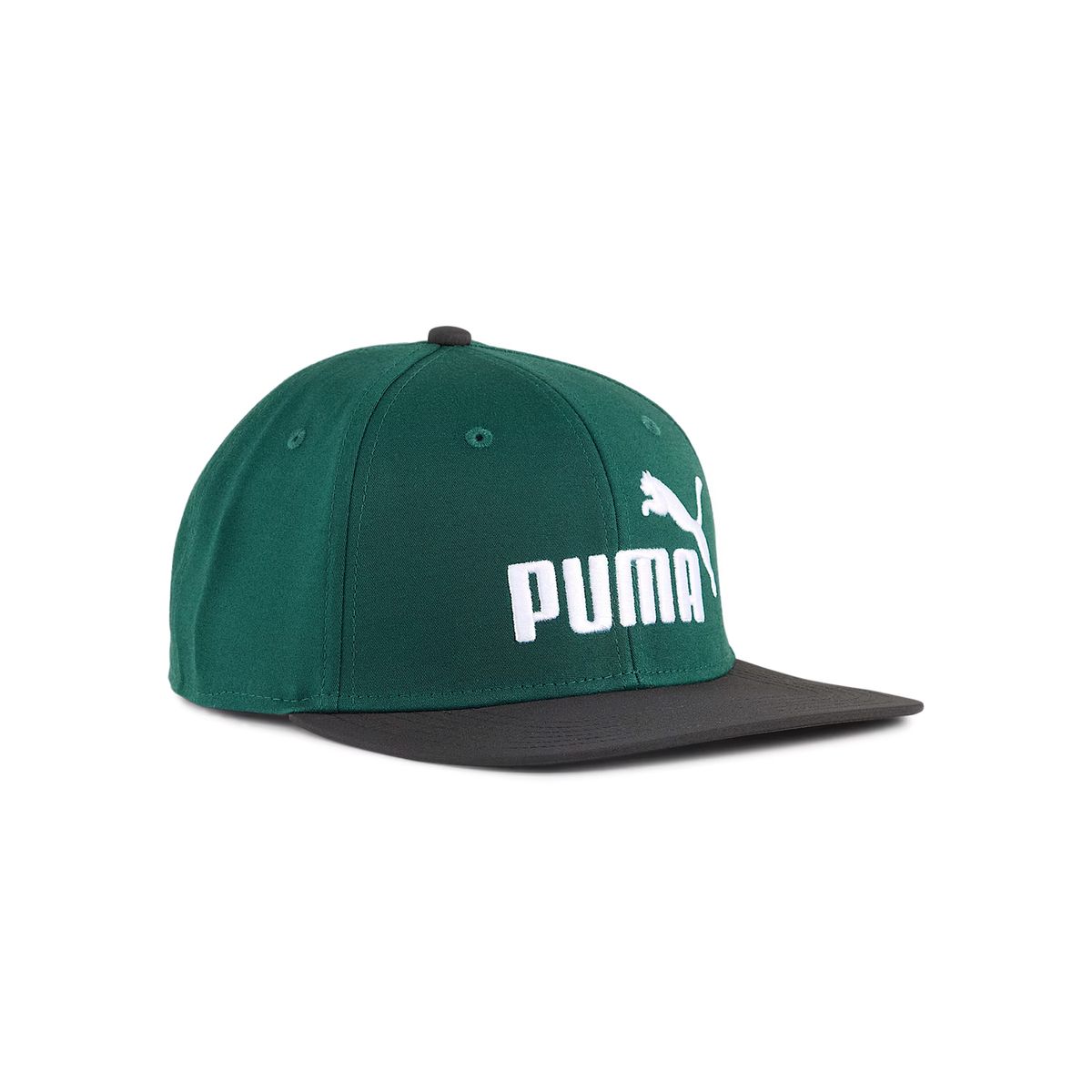 PUMA - Gorras Urbano Unisex Puma Ess No 1 Logo Flat Brim Cap