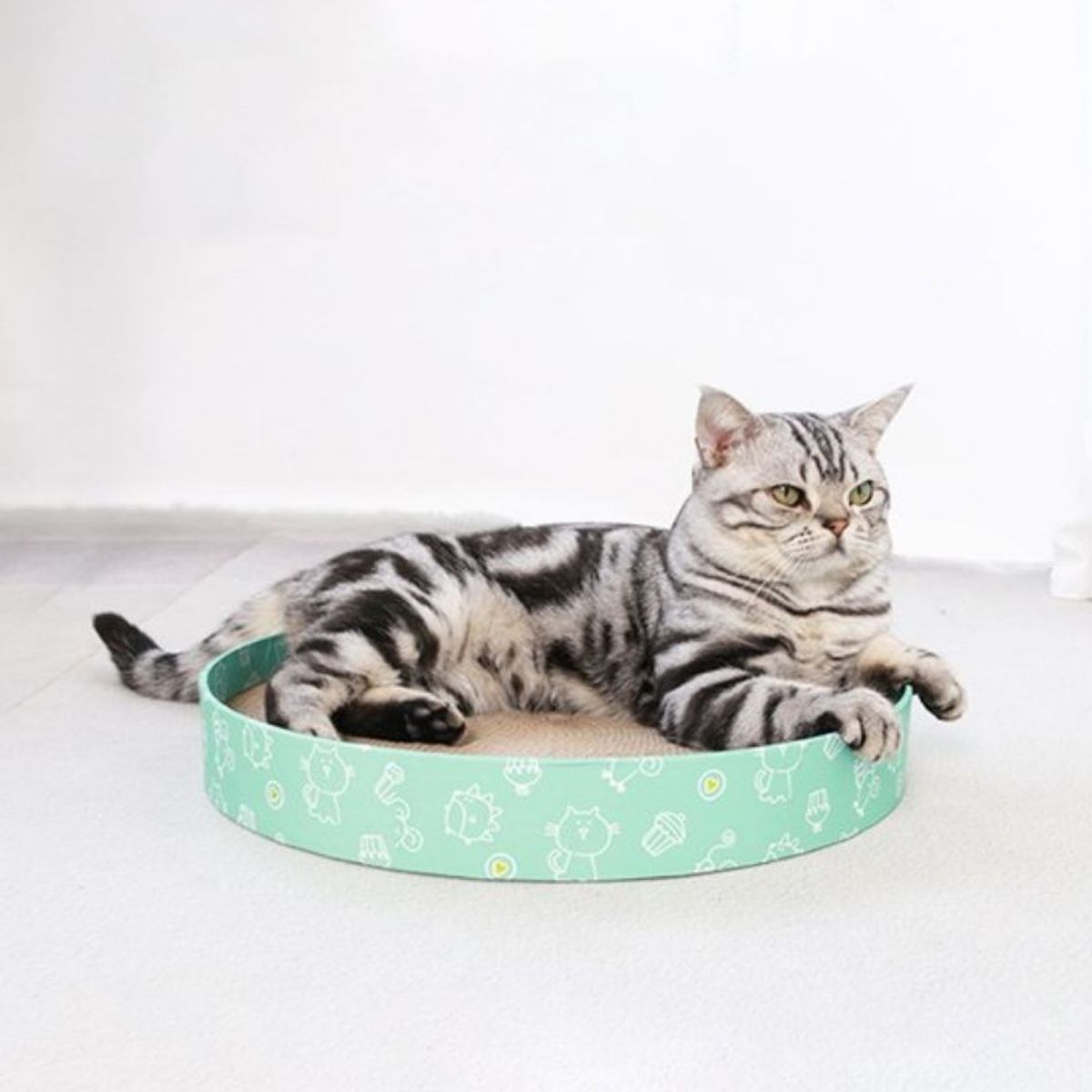CAT OH - Rascador para gatos Circular Dulce Gato mentolado  De cartón