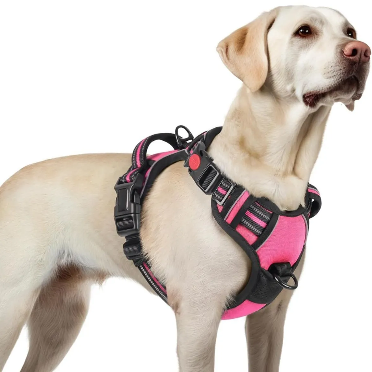Arnés Ajustable para Perro Talla Large Antitirones Reflectante con Asa Color Rosa Oscuro, marca IMPORTADO MC - Foto Principal