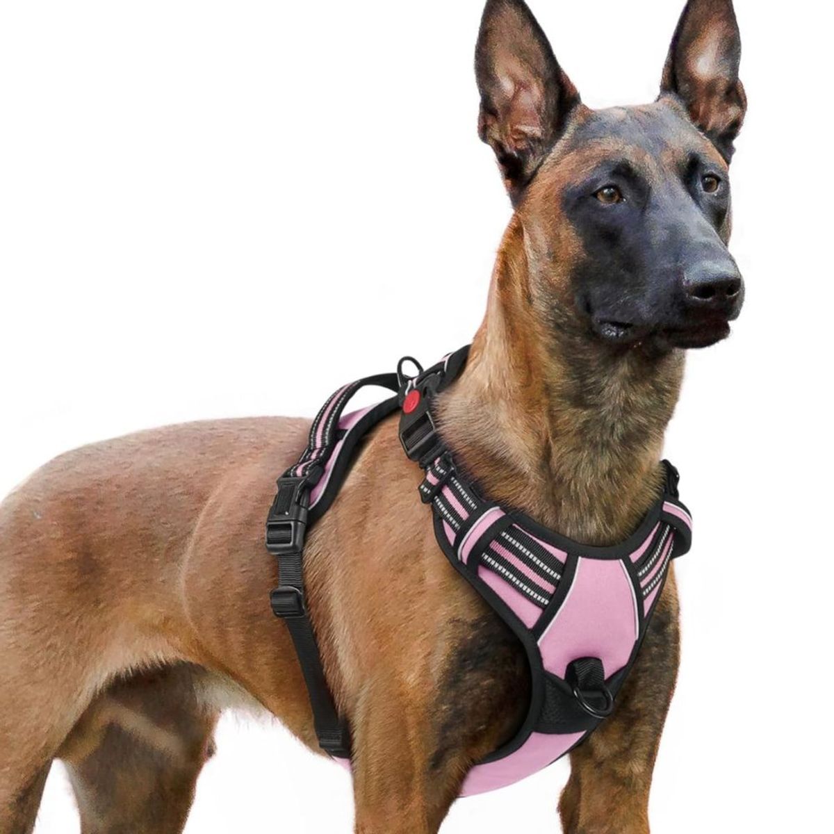 IMPORTADO MC - Arnés Ajustable para Perro Talla Extra Large Antitirones Reflectante con Asa Color Rosa