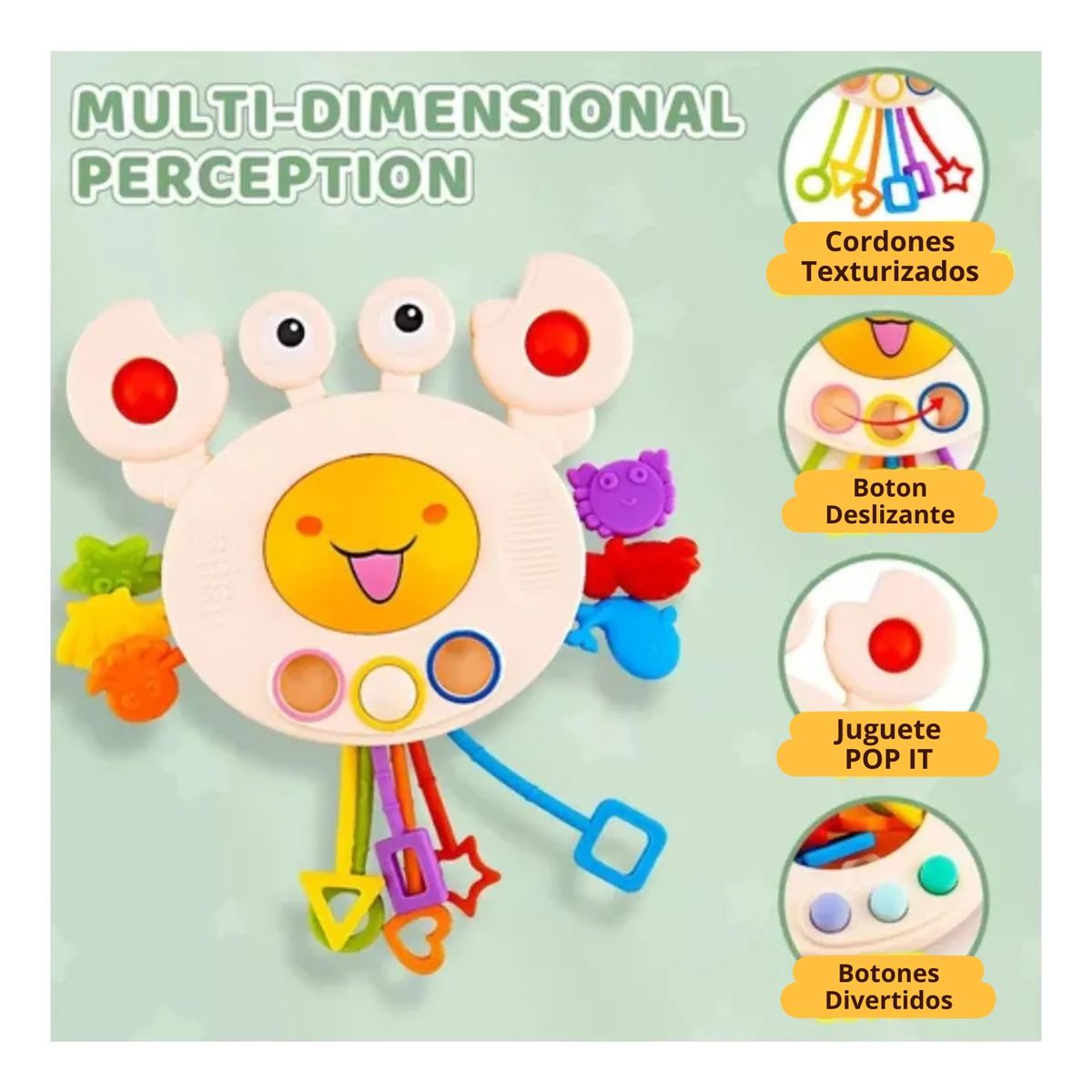 GENERICO - Juguete Cangrejito Sensorial Montessori - Juega explora y desarrolla paso a paso