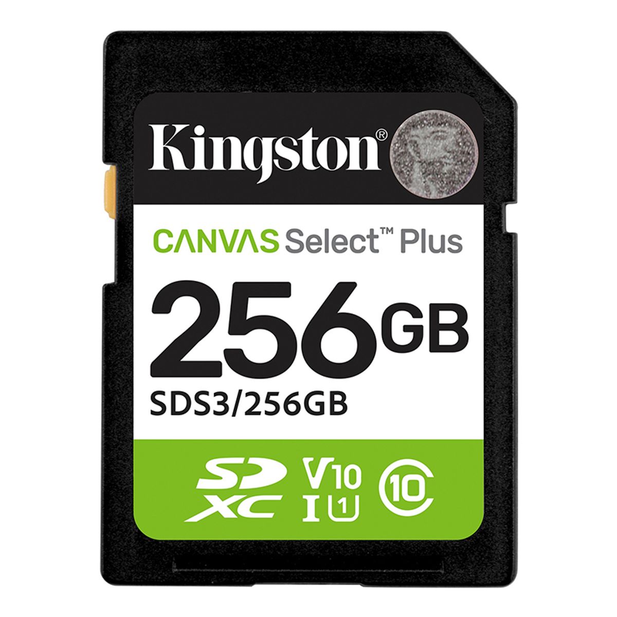 KINGSTON - Memoria Card SD Kingston SD Canvas Select Plus 256GB UHS-IU1V10