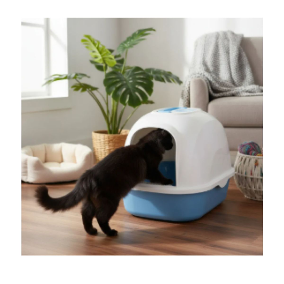 PET MOOD - Arenero Cerrado Mediano Pet Mood Con Puerta + Pala Color Azul