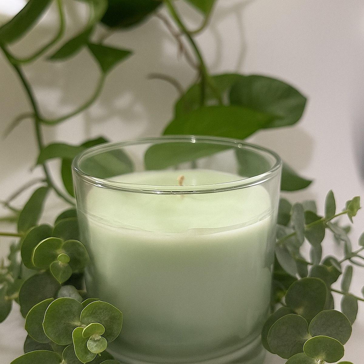 LUMMOS - Evergreen Mist - Vela Aromática de Cera de Soya Eucalipto 200g