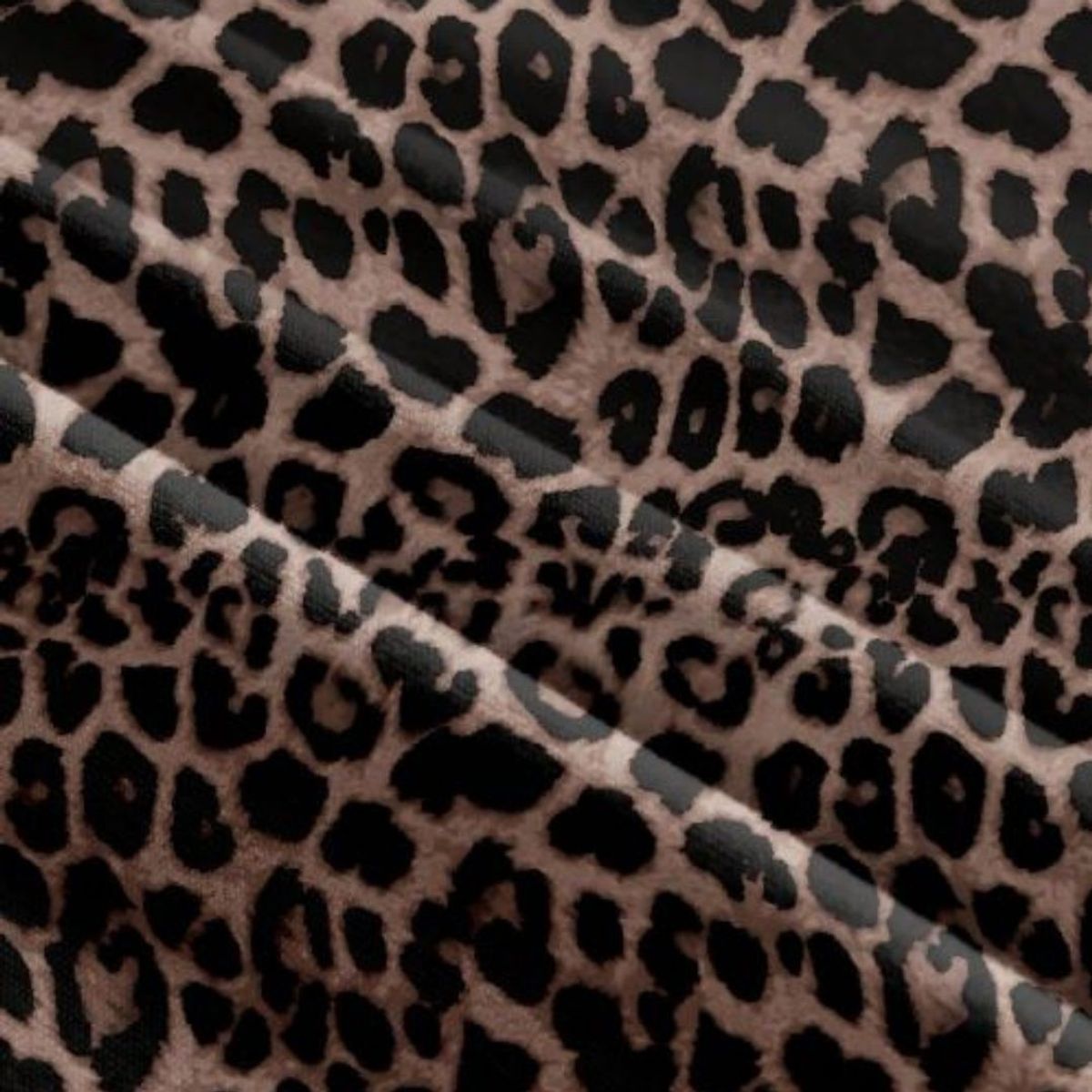 GENERICO - Conjunto de dama top y short