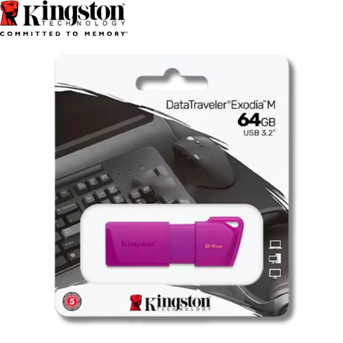 KINGSTON - MEMORIA USB 64GB KINGSTON MORADO
