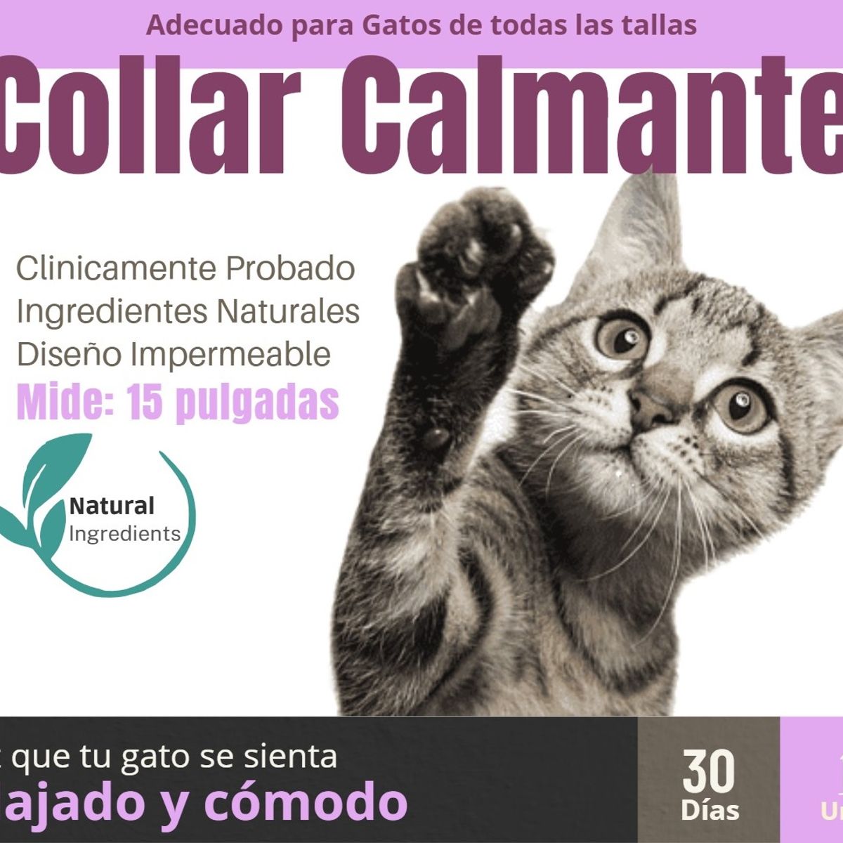 GENERICO - Collar Calmante de Feromonas para Gatos Rosado - Reduce Ansiedad