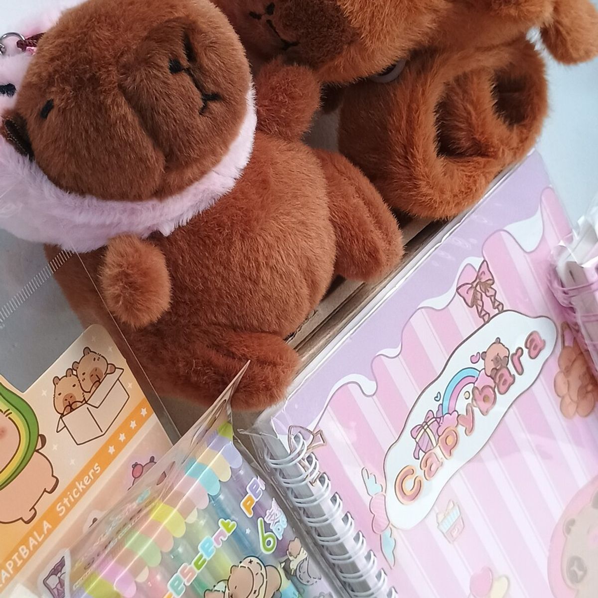 GENERICO - Set Capibara Niña 17 Piezas Útiles Peluche Pulsera