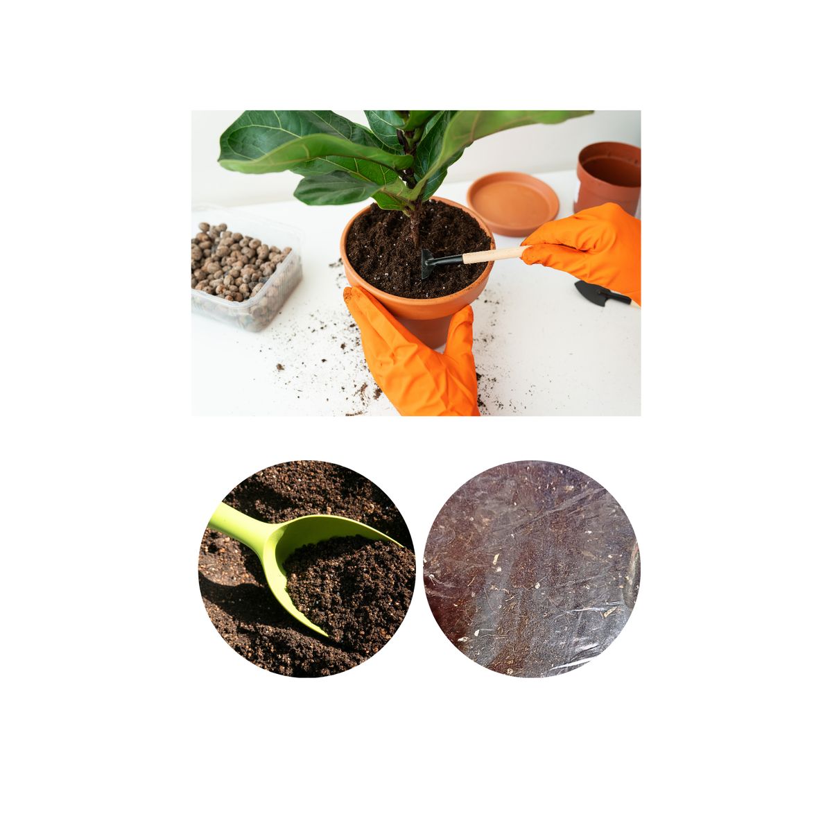 GENERICO - Sustrato para Plantas Ornamentales 1 Kg