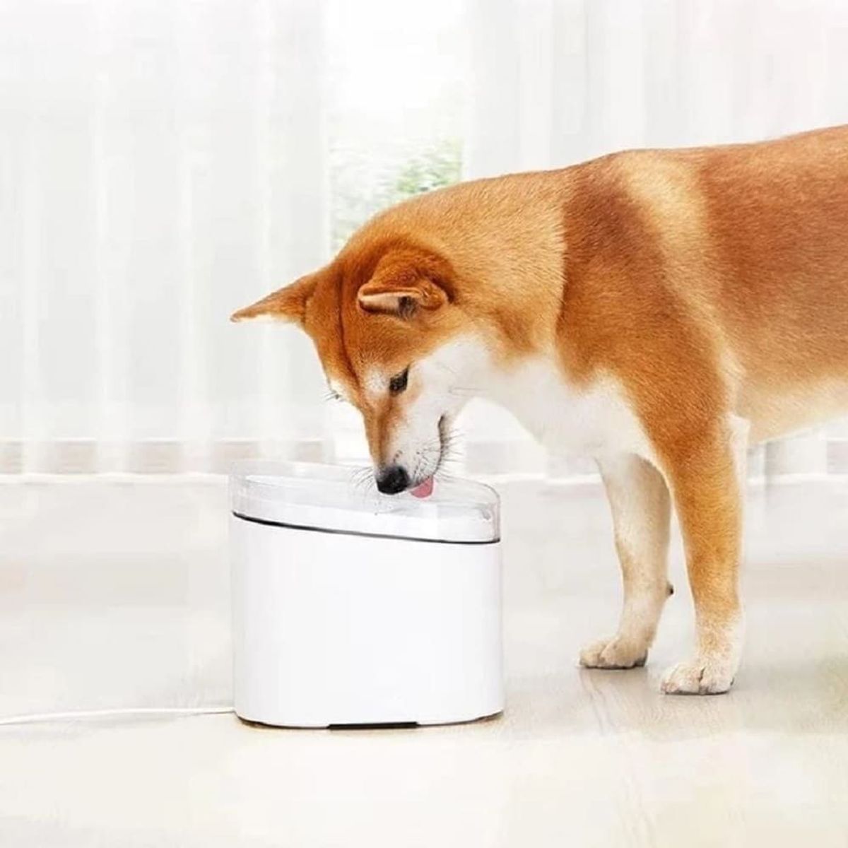 XIAOMI - Fuente de Agua Inteligente para Mascota 3L Xiaomi Smart Pet Fountain 2 Blanco