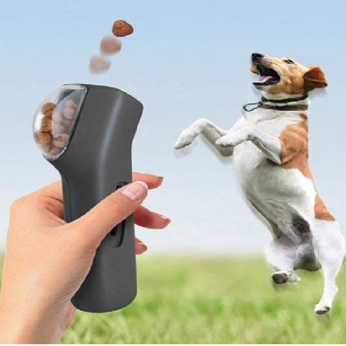 GENERICO - Juguete Lanzador Automático para Mascotas
