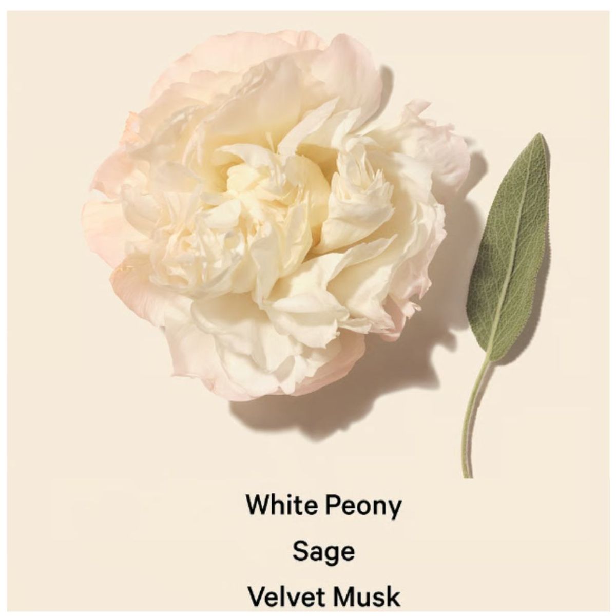 VICTORIA'S SECRET - FRAGANCIA FINA VICTORIA SECRET BOMBSHELL SEDUCTION 250ML