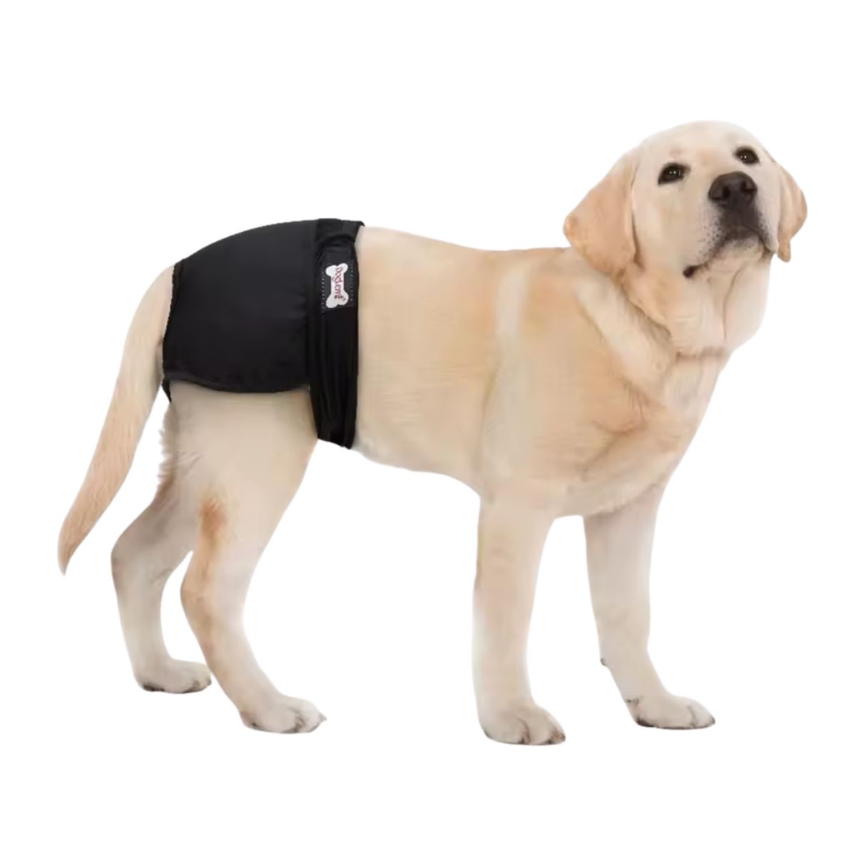 GENERICO - Calzón Celo Lavable Doglemi - Negro - Talla XS - 16-22cm