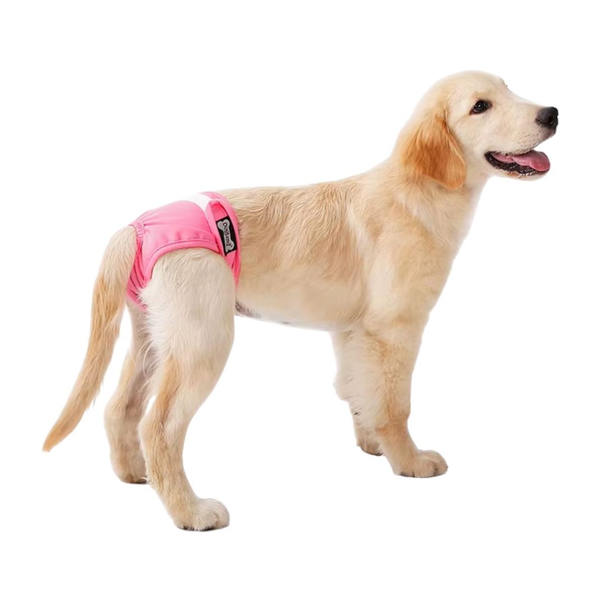 GENERICO - Calzón Celo Lavable Doglemi - Rosado - Talla XL - 44-66cm