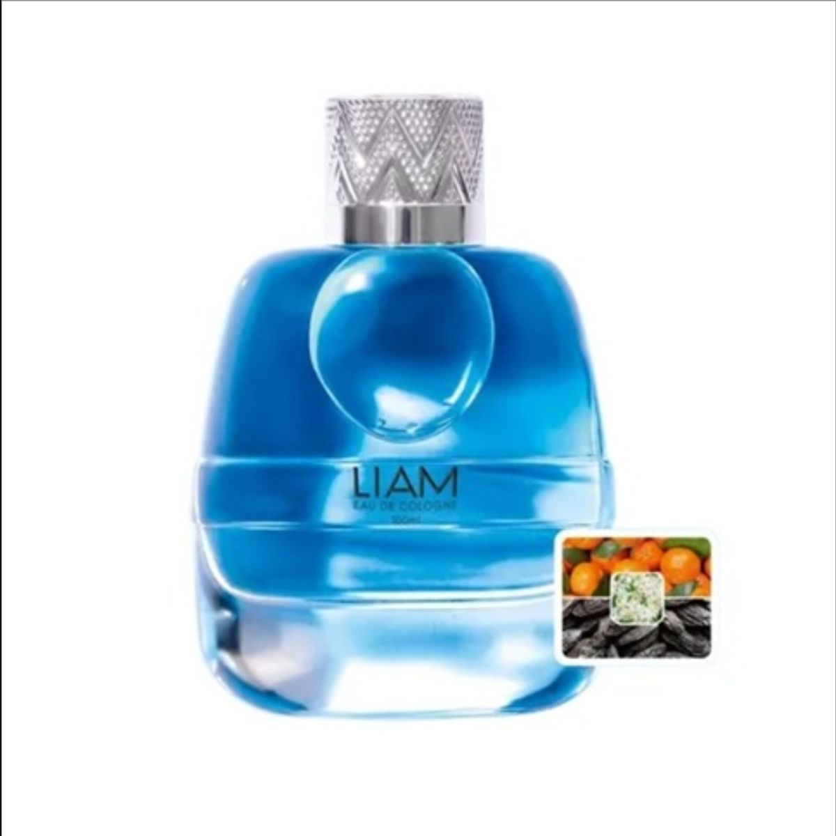 GENERICO - Azzorti - Eau de cologne Liam de 100 ml