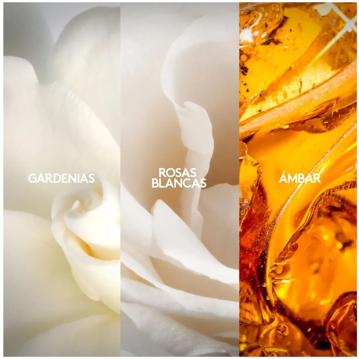 ESIKA - Fiori Perfume para mujer 50 ml