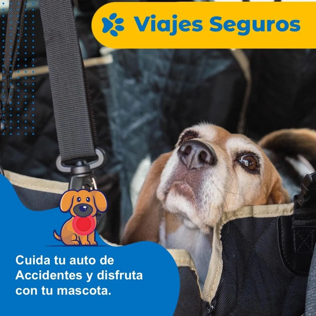 B EQUIP - Cubre Asiento para Mascotas B-Equip Impermeable 4 Capas 3 en 1
