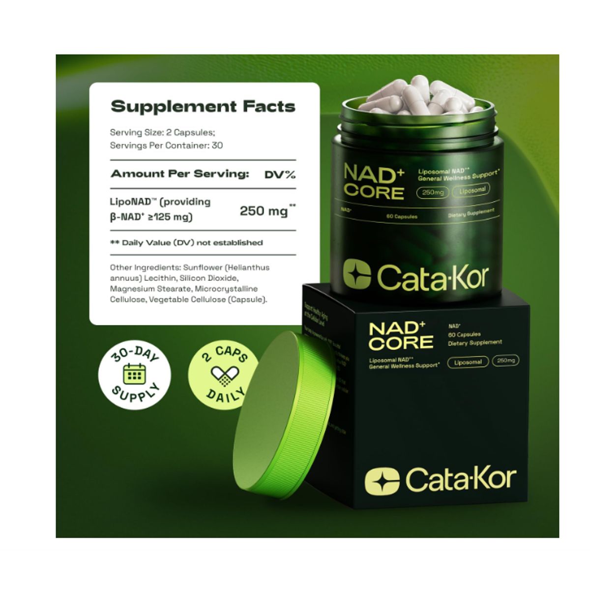 GENERICO - LipoNAD® NAD+ Liposomal 250mg - Energía Celular - 60 cápsulas (30 días) - Calidad USA