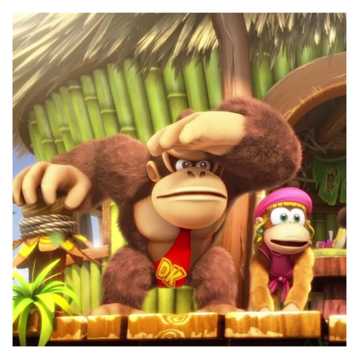 NINTENDO - Donkey Kong Country Tropical Freeze LAT NSW