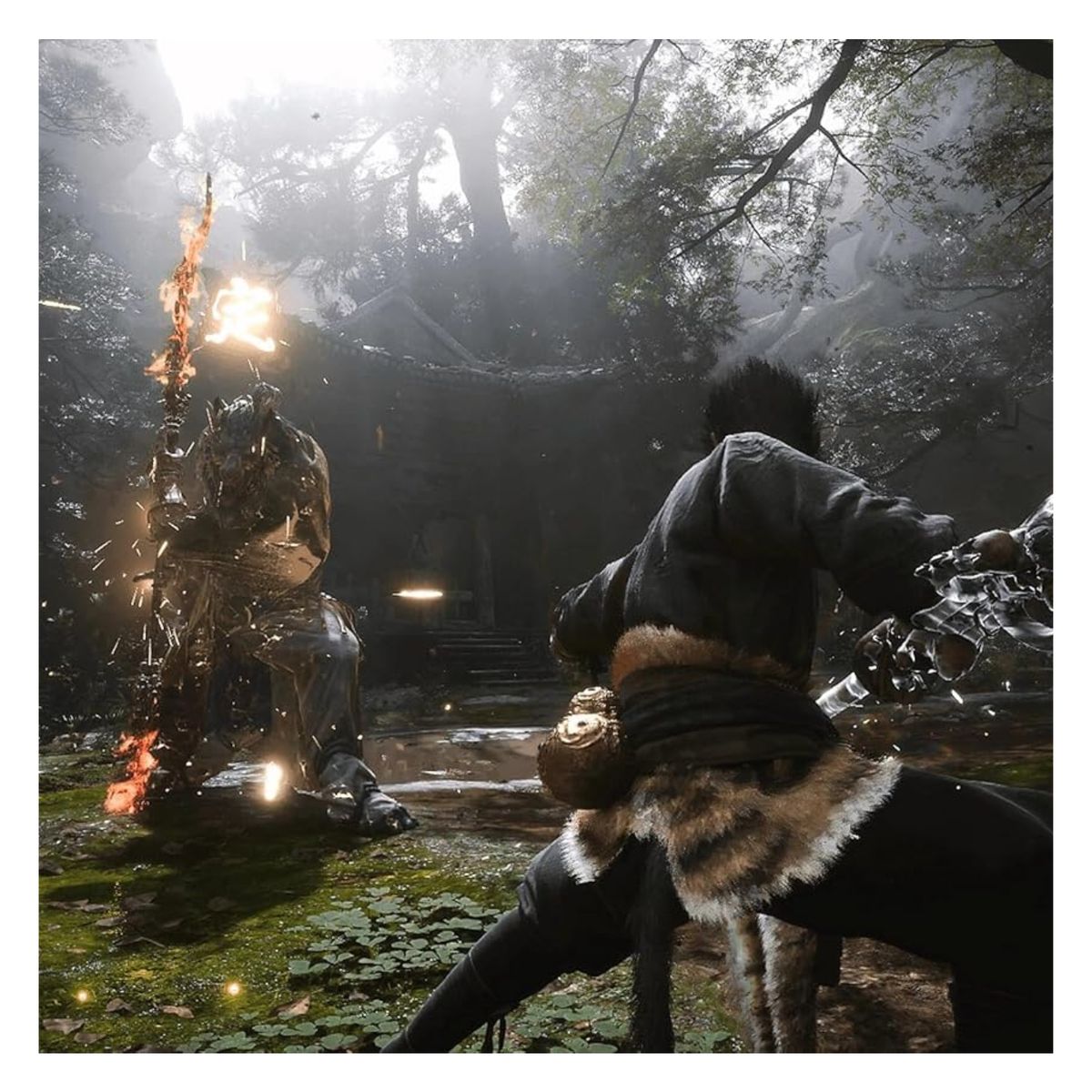 SONY - Black Myth Wukong EUR PS5