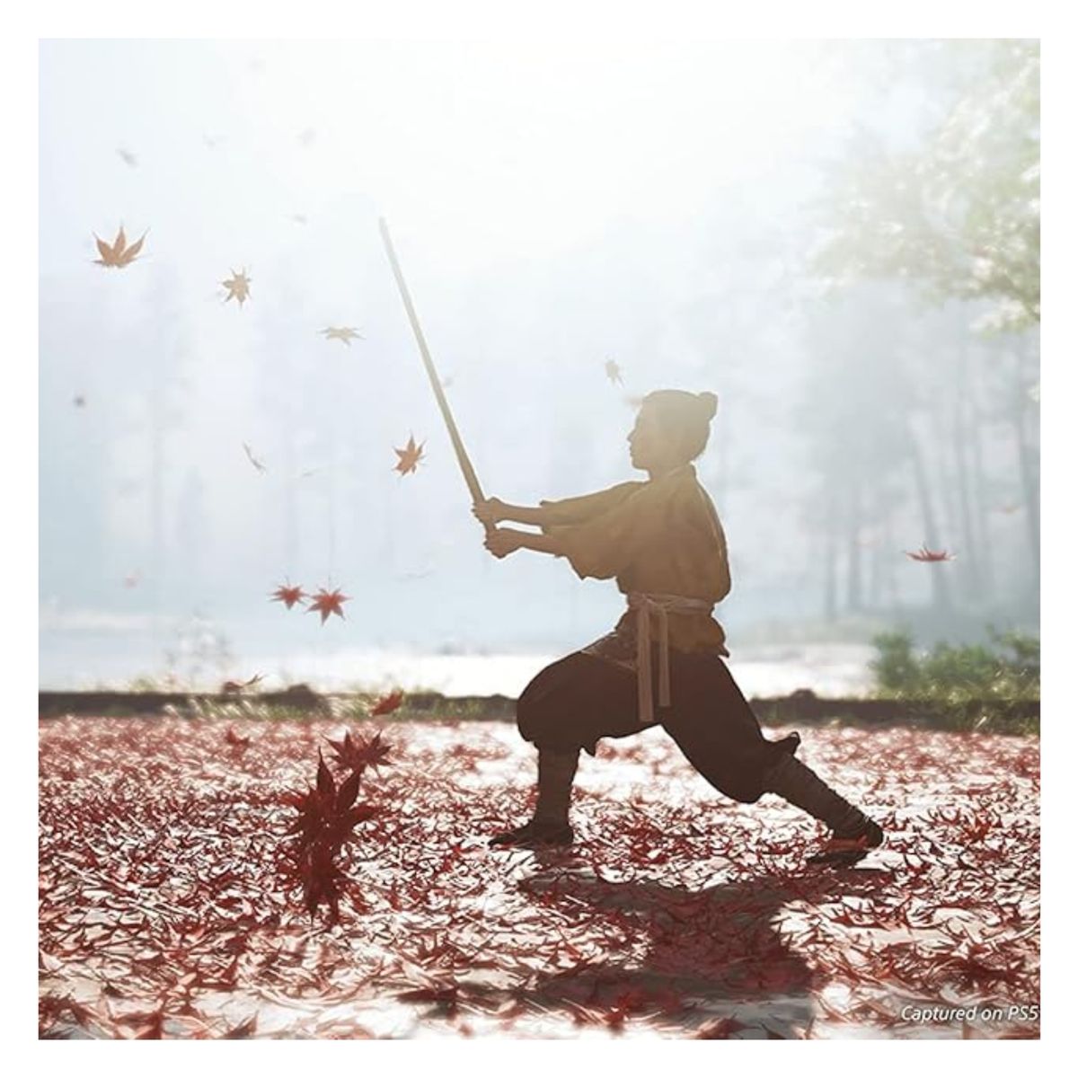 SONY - Ghost Of Tsushima Directors Cut EUR PS5