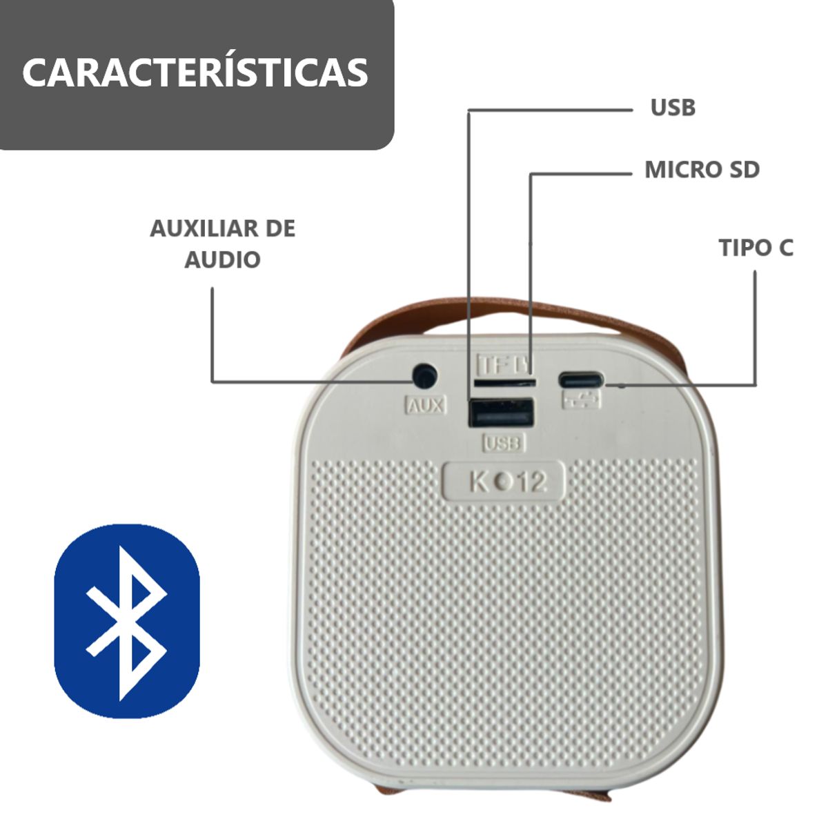 GENERICO - Parlante Bluetooth Karaoke con Micrófono