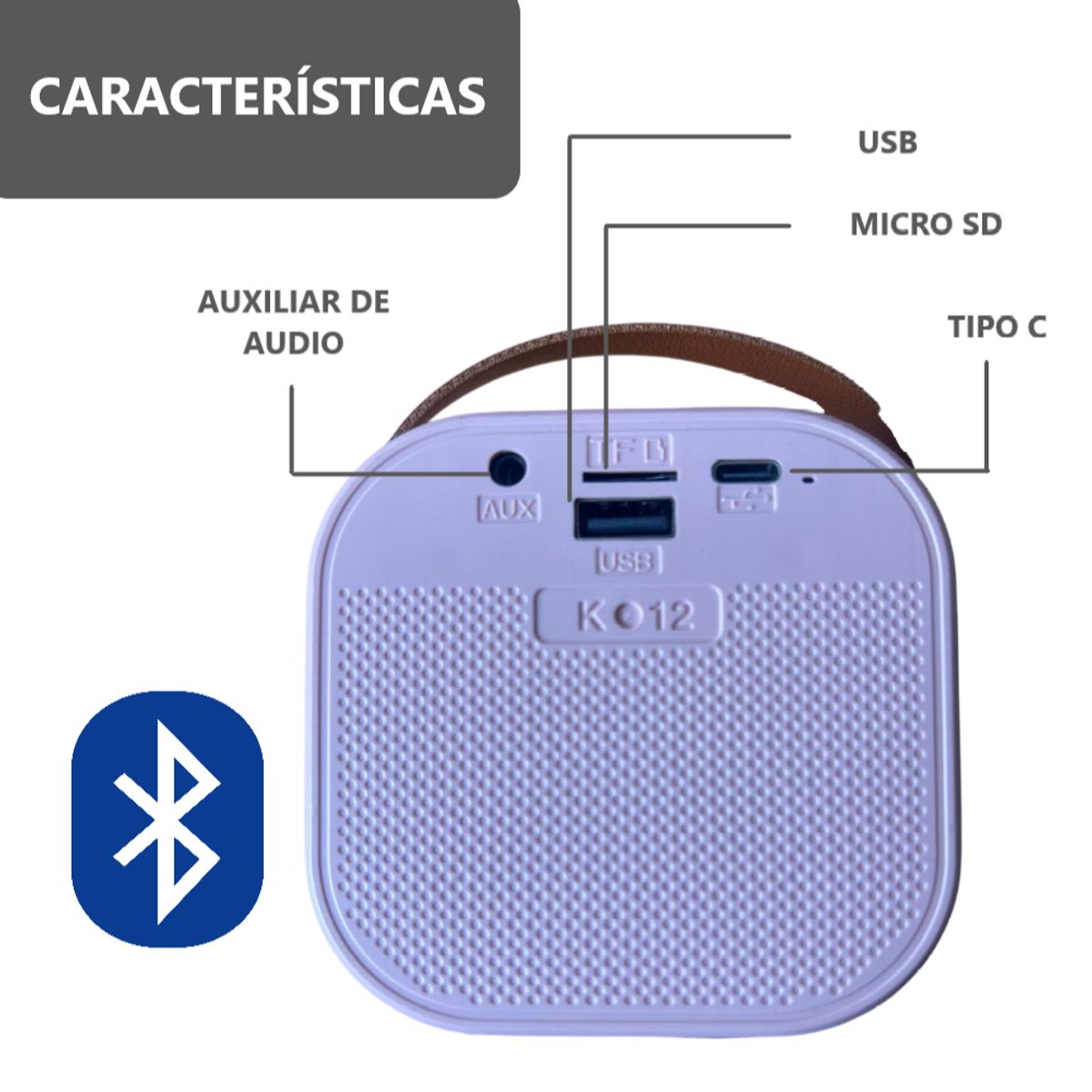 GENERICO - Parlante Bluetooth Karaoke con Micrófono