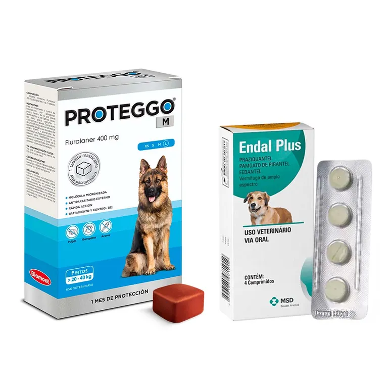 Antipulga Proteggo 1M para Perros de 20 - 40 kg + Endal | Sodimac Perú