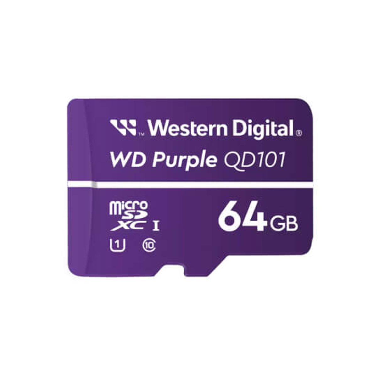 HIKVISION - XX EASYLINK CAMARA WIFI 4MP PT TURRET INTERIOR + MICROSD 64GB PARA VIDEO VIGILANCIA - PURPLE