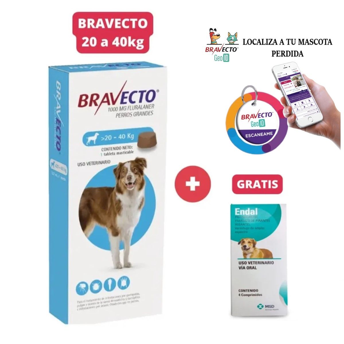 Antipulgas Bravecto para perros de 20 - 40 kg + Geolocalizador para Mascota, marca BRAVECTO - Foto Principal