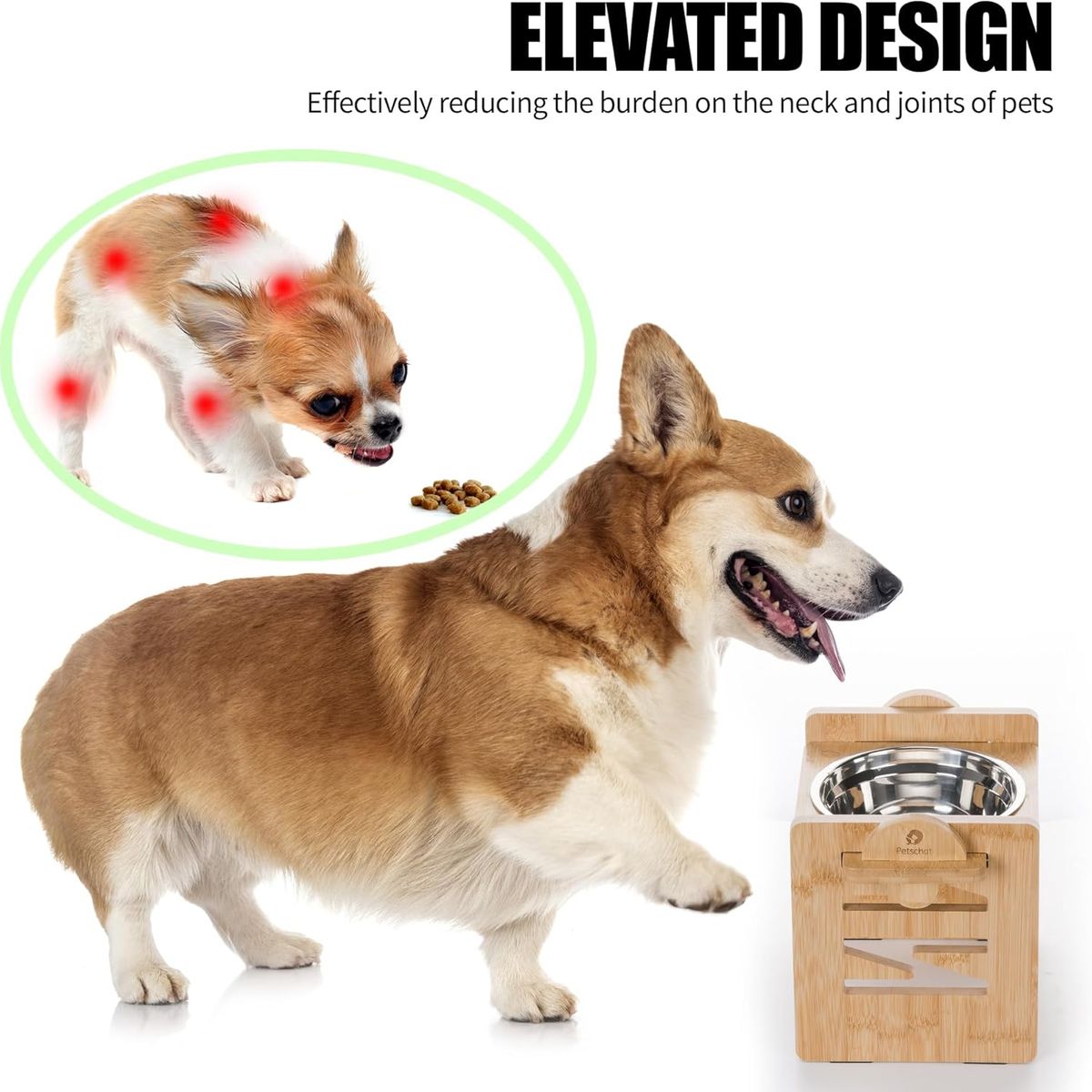 QUE PATAS PET SHOP - Comedero Elevado De 1 Plato